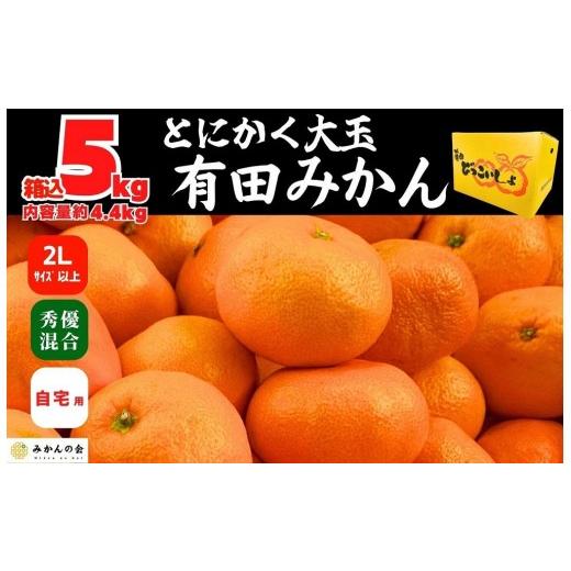 ふるさと納税 果物類 みかん 和歌山県 有田川町 みかん 大玉 箱込 5kg ( 内容量約 4.4kg ) 2Lサイズ以上 秀品 優品 混合 有田みかん 和歌山県産 産地直送 家庭…