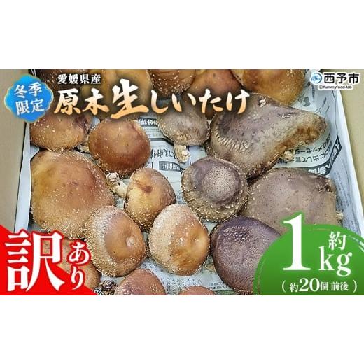 ふるさと納税 野菜類 きのこ 愛媛県 西予市 冬季限定 原木生しいたけ 訳あり 約1kg 20個前後 原木生椎茸 しいたけ シイタケ きのこ 家庭用 バーベキュー BBQ …