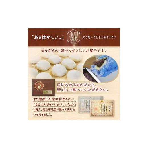 ふるさと納税 和菓子 もち菓子 千葉県 南房総市 杵つき餅と自慢のあんこの「あんびん（こし餡）」20個 mi0002-0014 ヒメノモチ スイーツ 和菓子 お菓子 お餅 …の画像