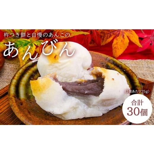 ふるさと納税 和菓子 もち菓子 千葉県 南房総市 杵つき餅と自慢のあんこの「あんびん（こし餡）」30個 mi0002-0015 ヒメノモチ スイーツ 和菓子 お菓子 お餅 …の画像