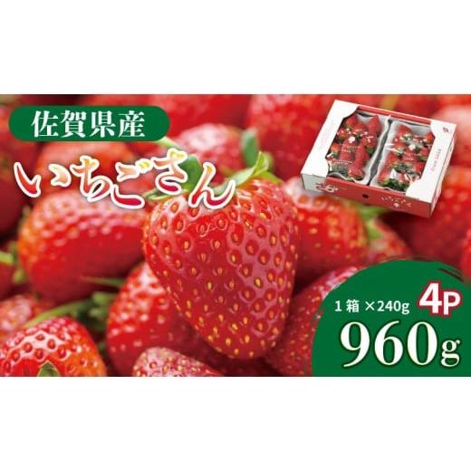 ふるさと納税 いちご 佐賀県 小城市 先行予約令和8年1月配送開始 佐賀県産 いちごさん ( 240g×4P )有明・潮風ファーム 直送品 果物 くだもの フルーツ 人…