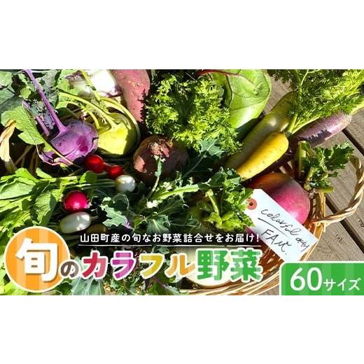 ふるさと納税 セット・詰合せ 岩手県 山田町 先行予約 2026年5月中旬〜発送開始 カラフルファムの旬のカラフル野菜 60 サイズ 無農薬 減農薬 詰合せ お弁当 …