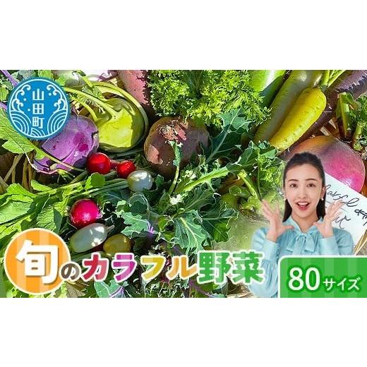 ふるさと納税 セット・詰合せ 岩手県 山田町 先行予約 2026年5月中旬〜発送開始 カラフルファムの旬のカラフル野菜 80 サイズ 無農薬 減農薬 詰合せ お弁当 …