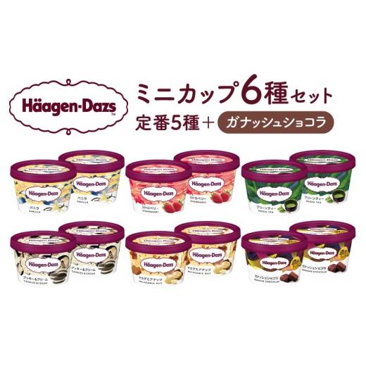 ふるさと納税 菓子 アイス 北海道 浜中町 ハーゲンダッツ『ミニカップ12個セット(定番フレーバー&新商品 ガナッシュショコラ)』アイスクリーム アイス スイ…