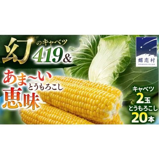 ふるさと納税 セット・詰合せ 群馬県 嬬恋村 8月上旬 発送開始 朝採り野菜 人気2種セット まぼろしの419キャベツ 2玉 と 甘〜いトウモロコシ 恵味 20本 とう…
