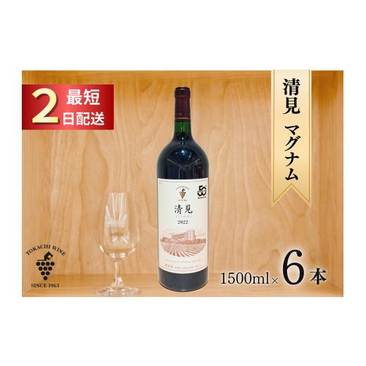 ふるさと納税 ワイン 赤ワイン 北海道 池田町 清見2022 マグナム6本 9L 最短申込みから2日発送 北海道ワイン 北海道池田町 十勝ワイン