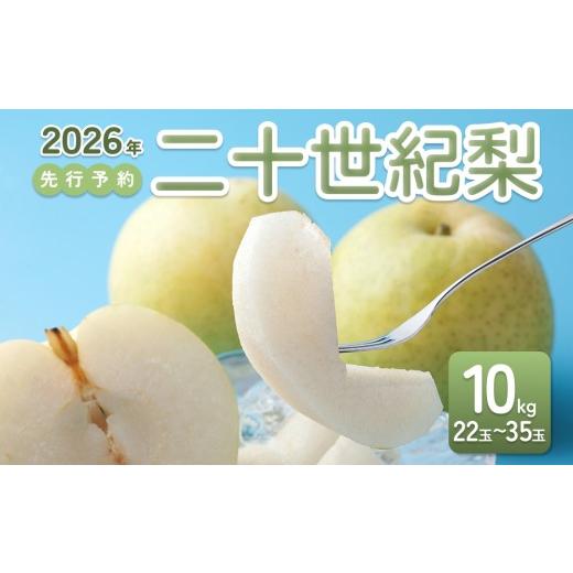 ふるさと納税 梨 鳥取県 岩美町  2026年 先行予約 二十世紀梨 10kg｜鳥取 東光園 梨 2026年収穫後 2026年8月下旬〜9月頃順次発送 着日指定不可 41055 10kg 寄…の画像