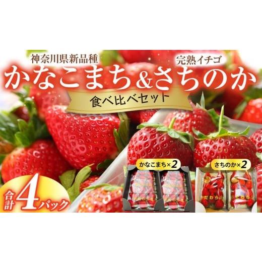 ふるさと納税 いちご 神奈川県 小田原市 神奈川県新品種「かなこまち&さちのか」食べ比べセット 完熟イチゴ 苺 4パック入り