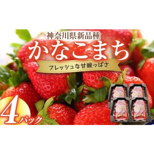 ふるさと納税 いちご 神奈川県 小田原市 神奈川県新品種「かなこまち」 完熟イチゴ 苺 4パック入り