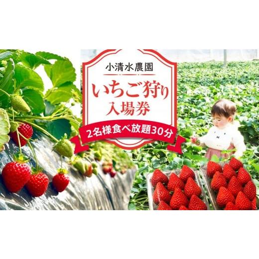 ふるさと納税 体験チケット 神奈川県 小田原市 いちご狩り 入場券 2名様 食べ放題30分