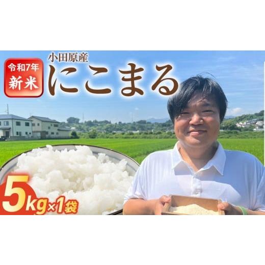ふるさと納税 米 にこまる 神奈川県 小田原市 令和7年新米 富水米 精米 5kg にこまる