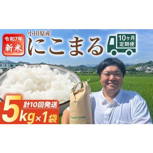 ふるさと納税 米 にこまる 神奈川県 小田原市 令和7年新米毎月お届け 定期便 富水米 精米 5kg×10か月 にこまる