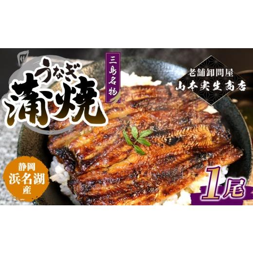 ふるさと納税 うなぎ 静岡県 三島市 2026年8月〜順次発送 うなぎ蒲焼 1人前 1尾 冷蔵 三島名物 老舗 鰻問屋 うなぎ 蒲焼き 鰻 ウナギ 真空パック 浜名湖 土用…