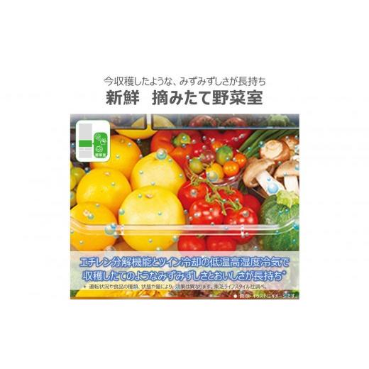 ふるさと納税 キッチン家電 神奈川県 川崎市 東芝 冷蔵庫 標準設置費込み 509L 6ドア 両開き 冷凍冷蔵庫 GR-Y510FK(EC)の画像