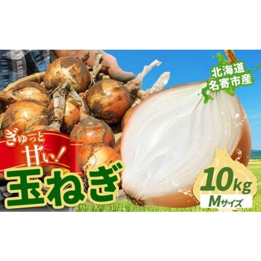 ふるさと納税 ねぎ・玉ねぎ 北海道 名寄市 北海道名寄産 玉ねぎ 10kg 秀品 Mサイズ[2026年10月上旬〜12月上旬出荷予定]北海道 名寄市 野菜 玉ねぎ 旬 カレー…