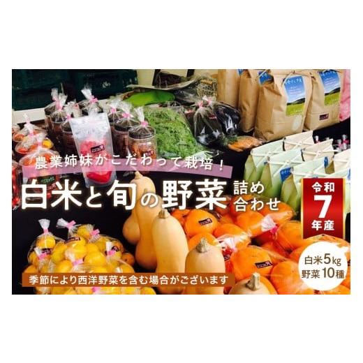 ふるさと納税 野菜類 大阪府 泉南市 農業姉妹がこだわって栽培 白米5kgと旬の厳選野菜10種 024C-001