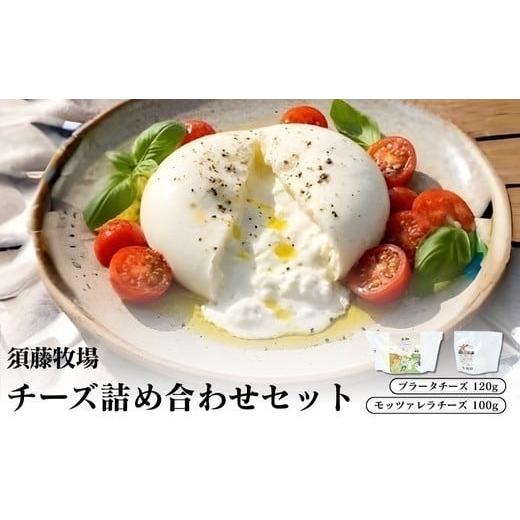 ふるさと納税 加工品等 チーズ 千葉県 館山市 モッツァレラチーズ1個&amp;ブラータチーズ1個セット 1704140