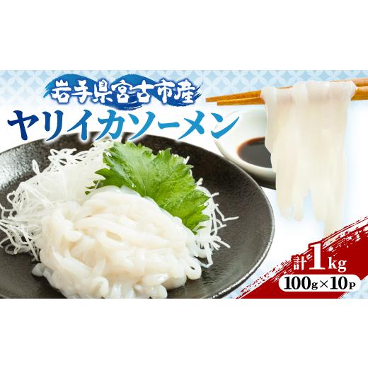 ふるさと納税 イカ 岩手県 宮古市 ヤリイカソーメン宮古産100g×10パック(1kg) 1702175
