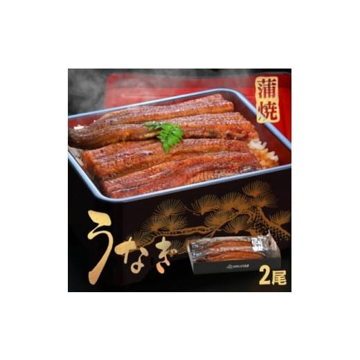 ふるさと納税 うなぎ 徳島県 藍住町 [2尾入]うなぎ蒲焼 化粧箱入り 地元老舗うなぎ加工会社より真空でお届け 1696773