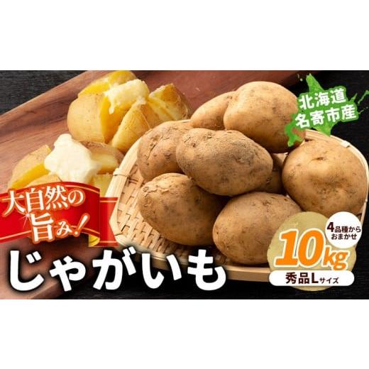 ふるさと納税 ねぎ・玉ねぎ 北海道 名寄市 北海道名寄産 じゃがいも 10kg 秀品 Lサイズ《2026年10月上旬〜12月上旬出荷予定》北海道 名寄市 野菜 馬鈴薯 旬 カ…の画像