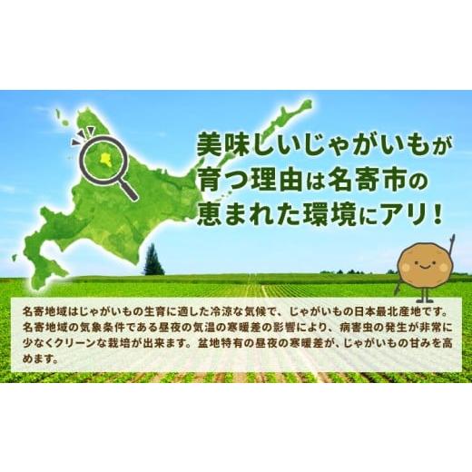 ふるさと納税 ねぎ・玉ねぎ 北海道 名寄市 北海道名寄産 じゃがいも 10kg 秀品 Lサイズ《2026年10月上旬〜12月上旬出荷予定》北海道 名寄市 野菜 馬鈴薯 旬 カ…の画像