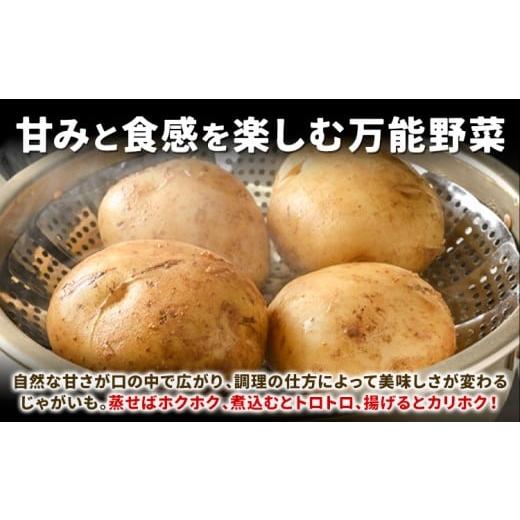 ふるさと納税 ねぎ・玉ねぎ 北海道 名寄市 北海道名寄産 じゃがいも 10kg 秀品 Lサイズ《2026年10月上旬〜12月上旬出荷予定》北海道 名寄市 野菜 馬鈴薯 旬 カ…の画像