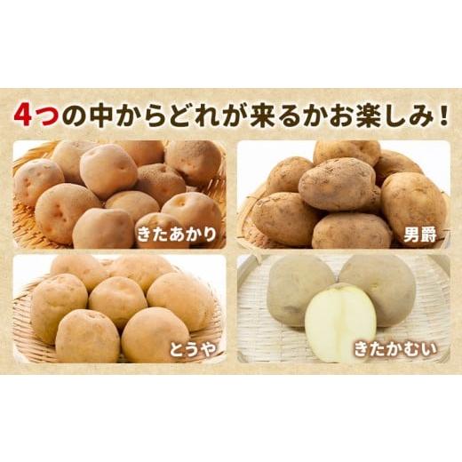 ふるさと納税 ねぎ・玉ねぎ 北海道 名寄市 北海道名寄産 じゃがいも 10kg 秀品 Lサイズ《2026年10月上旬〜12月上旬出荷予定》北海道 名寄市 野菜 馬鈴薯 旬 カ…の画像