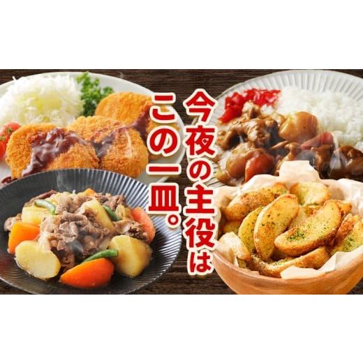 ふるさと納税 ねぎ・玉ねぎ 北海道 名寄市 北海道名寄産 じゃがいも 10kg 秀品 Lサイズ《2026年10月上旬〜12月上旬出荷予定》北海道 名寄市 野菜 馬鈴薯 旬 カ…の画像