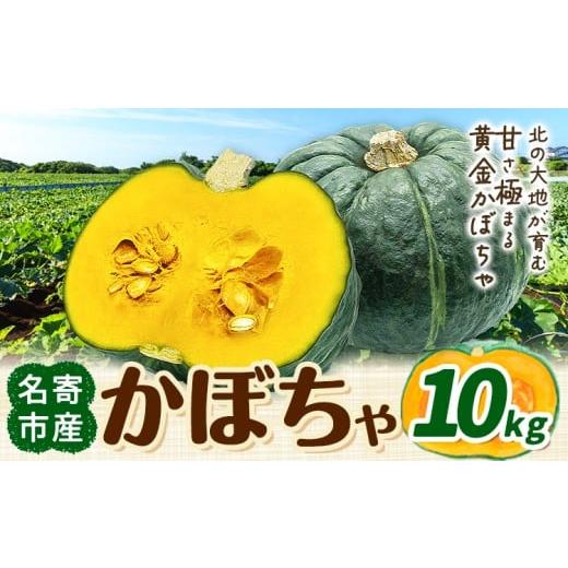 ふるさと納税 野菜類 北海道 名寄市 北海道名寄産 かぼちゃ 10kg 5玉〜6玉北海道 名寄市 野菜 かぼちゃ 南瓜 黄金かぼちゃ先行予約 2026年10月上旬-10月下旬頃…
