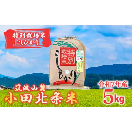 ふるさと納税 米 コシヒカリ 茨城県 つくば市 令和7年産 特別栽培米コシヒカリ小田北条米 5kg 米 お米 こしひかり コシヒカリ 特別栽培米 白米 精米 5kg