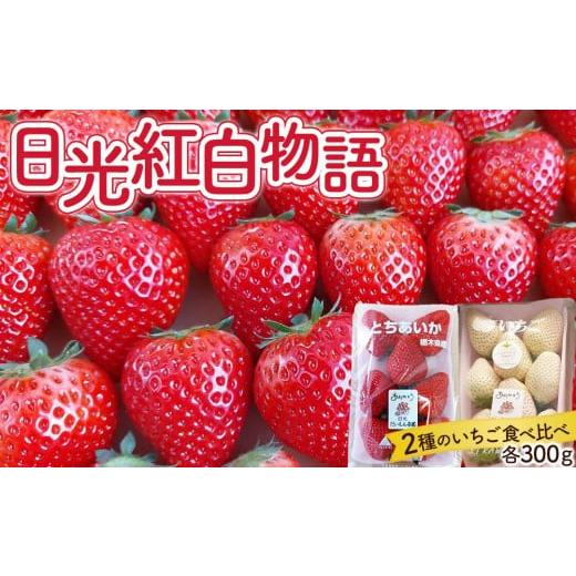 ふるさと納税 いちご 栃木県 日光市 日光紅白物語(とちあいか&amp;ミルキーベリー) 2026年1月初旬より順次発送 |フルーツ いちご 苺 期間限定 とちあいか …