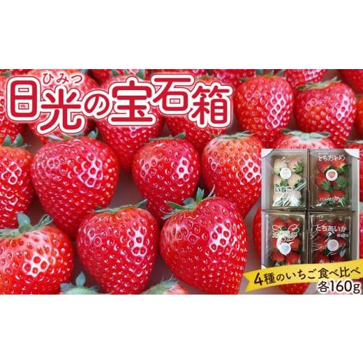ふるさと納税 いちご 栃木県 日光市 ひみつ(日光)の宝石箱 4種類の苺の食べ比べ セット 2026年1月初旬より順次発送 |フルーツ いちご 苺 期間限定 とちおと…