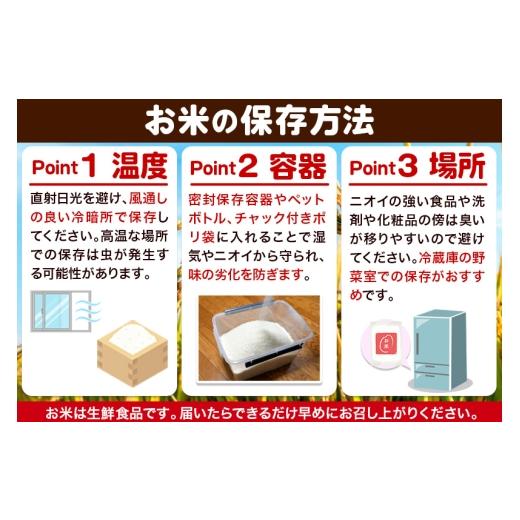 ふるさと納税 米 ブレンド 秋田県 大仙市 《令和8年産 新米受付》《定期便6ヶ月》米どころ 秋田県大仙市産 ブレンド米 無洗米 5kg（5kg×1袋） 米 お米 こめ …の画像