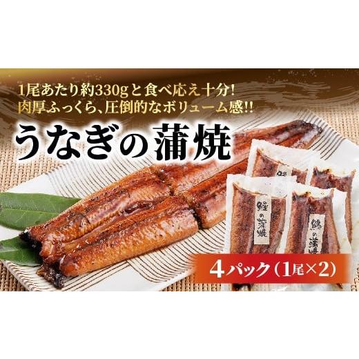 ふるさと納税 うなぎ 佐賀県 多久市 うなぎの蒲焼 約165g×4パック _c-133