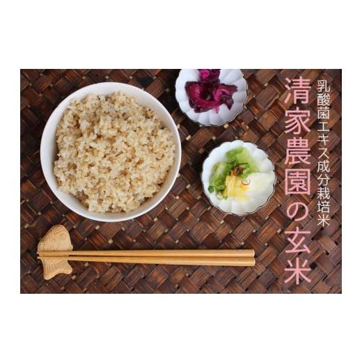 ふるさと納税 雑穀 高知県 宿毛市 令和7年産 清家農園 錦米(にこまる)玄米3kg 特別栽培 単回 約3kg(10,000円)