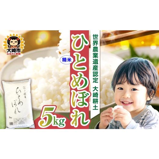 ふるさと納税 米 ひとめぼれ 宮城県 大崎市 [精米]令和7年 宮城県産 ひとめぼれ 5kg 5kg