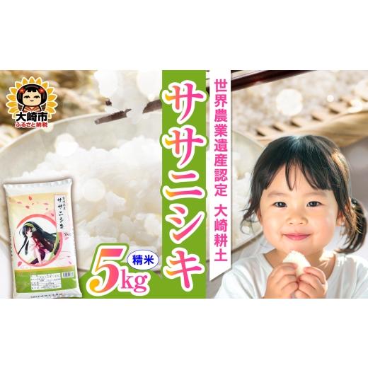 ふるさと納税 米 ササニシキ 宮城県 大崎市 [精米]令和7年 宮城県産 ササニシキ 5kg 5kg