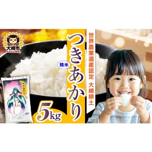 ふるさと納税 米 宮城県 大崎市 [精米]令和7年 宮城県産 つきあかり 5kg 5kg