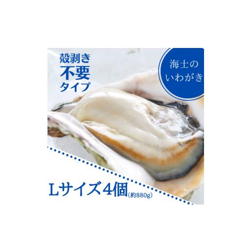 ふるさと納税 牡蠣 島根県 海士町 殻剥き不要 海士のいわがき殻なしLサイズ4個入り(約880g)御歳暮 ギフト