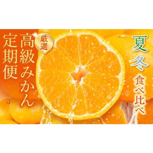 ふるさと納税 果物類 みかん 愛知県 豊橋市 高級みかん 食べ比べ定期便 全2回 冬 夏 みかん 食べ比べ 高級 甘い ハウスみかん ミカン 蜜柑 mikan 人気 定期便 …