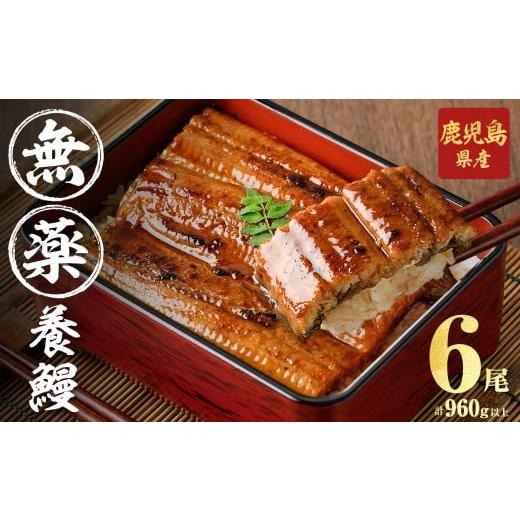 ふるさと納税 うなぎ 鹿児島県 志布志市 3月末までに配送 無薬養鰻 鹿児島産 山田のうなぎ 計960g以上 (160g以上×6尾) うなぎ 鰻 ウナギ 無薬 養鰻 無投薬 6…