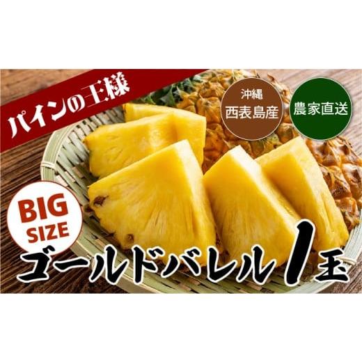 ふるさと納税 果物類 沖縄県 竹富町 2026年発送 ゴールドバレルビッグな1玉セット 数量1玉 内容量約1.5kg前後