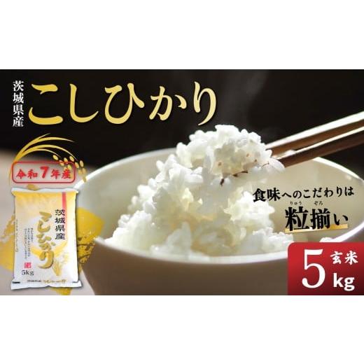 ふるさと納税 米 コシヒカリ 茨城県 下妻市 玄米 コシヒカリ 5kg 茨城県下妻市産 お米 米 ご飯 こめ コシヒカリ 令和7年産 茨城県産