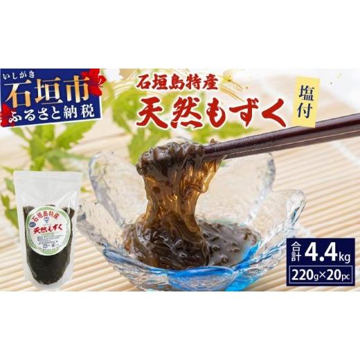 ふるさと納税 のり・海藻 もずく 沖縄県 石垣市 石垣島特産 塩付天然もずく 4.4kg (220g×20パック) | もずく 天然 石垣 塩付天然もずく 4.4kg