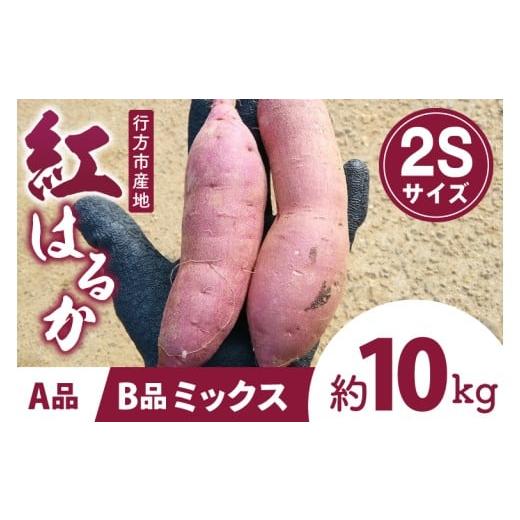 ふるさと納税 野菜類 サツマイモ 茨城県 行方市 数量限定 茨城県行方市特産紅はるか 2Sサイズ(A品・B品ミックス) 約10kg|さつまいも サツマイモ お芋 紅はる…