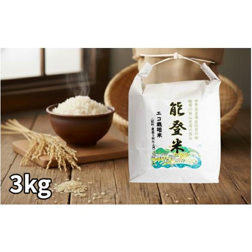 ふるさと納税 米 コシヒカリ 石川県 羽咋市 数量限定 コシヒカリ 3kg 1袋 令和7年産 のと米 精米 羽咋 米 能登 こしひかり 能登米 化学肥料農薬 3割 以上 減農…