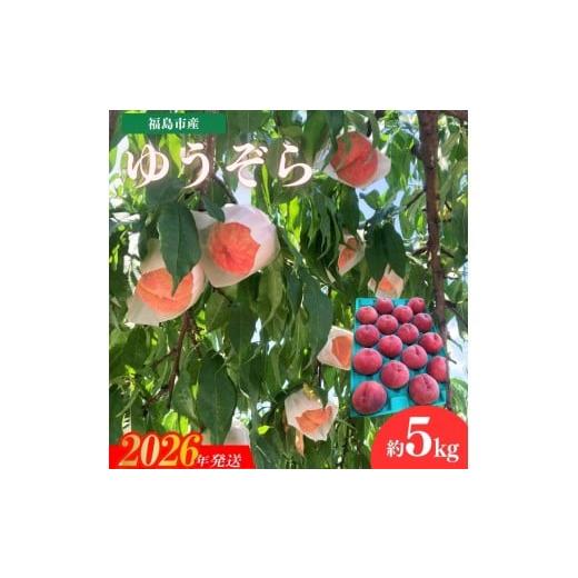 ふるさと納税 もも 福島県 福島市 No.3267 安斎果樹園 福島のもも 「ゆうぞら」 約5kg(16玉〜18玉) 2026年発送 先行予約