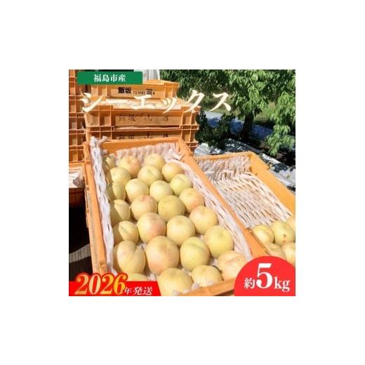 ふるさと納税 もも 福島県 福島市 No.3268 安斎果樹園 福島のもも 「シーエックス」 約5kg(13玉〜15玉) 2026年発送 先行予約