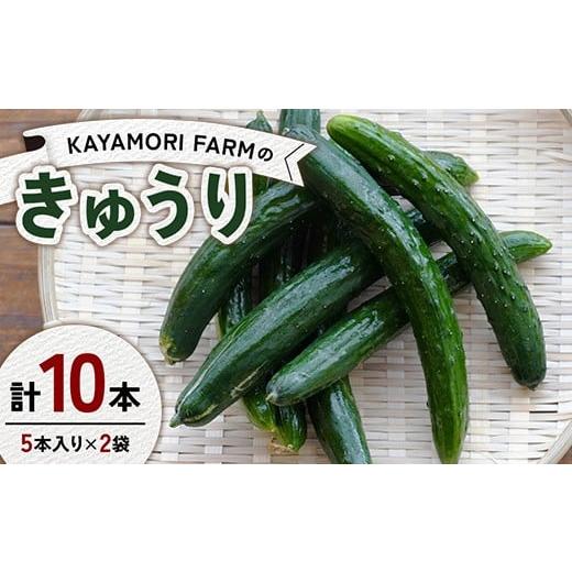 ふるさと納税 野菜類 福島県 矢吹町 KAYAMORI FARMのきゅうり 計10本(5本入り×2袋) F6U-371