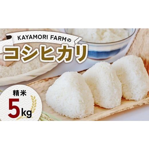 ふるさと納税 米 コシヒカリ 福島県 矢吹町 KAYAMORI FARMのコシヒカリ 精米5kg F6U-372
